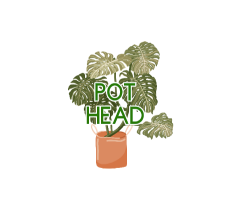 Monstera Pot Head